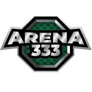 arena333 APK Puzzle